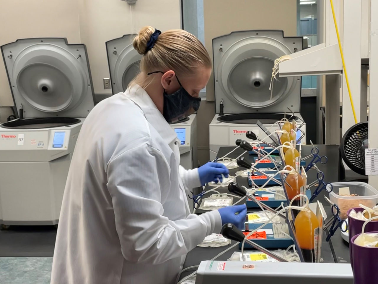 Plasma in lab during Covid.