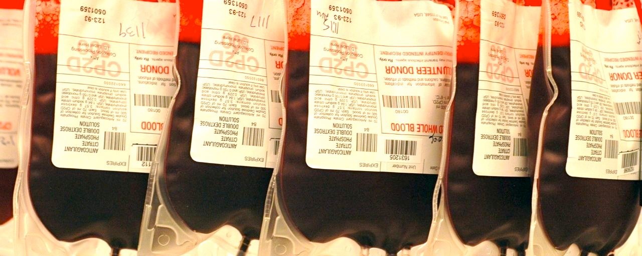 Close view of blood bags