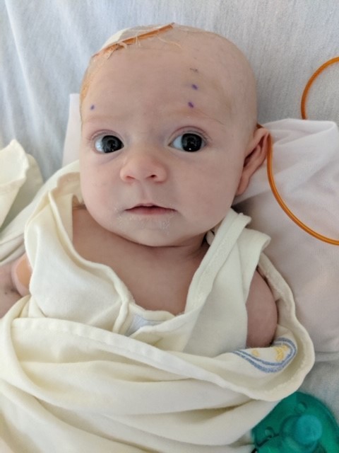 Image of Children's Patient and Hoxworth Recipient Brynn Schulte